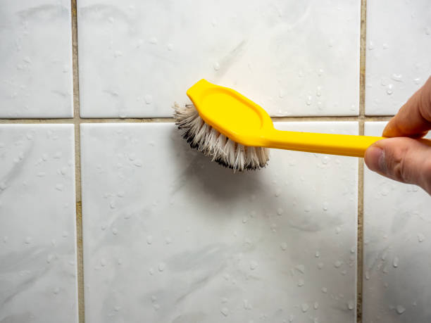 Best Affordable Mold Removal  in Lam, AR