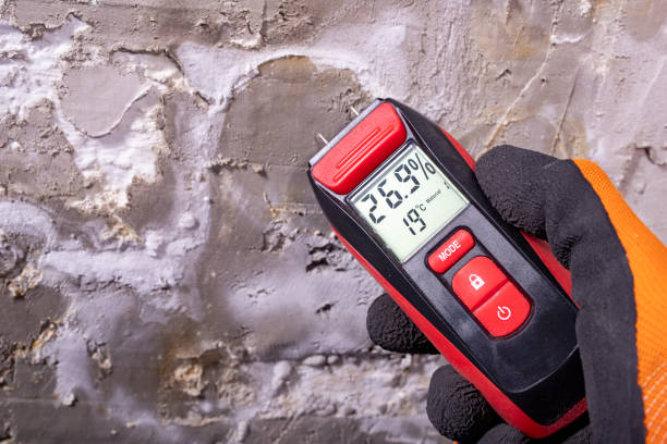 Best Mold Inspection  in Lam, AR